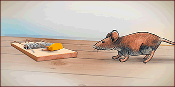 Sometimes the mouse gets away with the cheese!